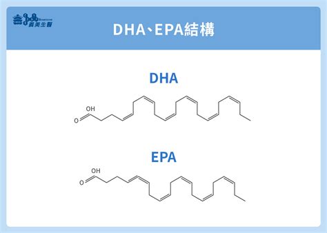 epa結構|EPA魚油和DHA魚油一樣嗎？魚油種類、功效、挑選重。